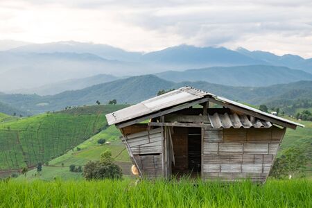 Cottage on the rice field.の写真素材