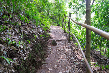 Hiking trailsの写真素材