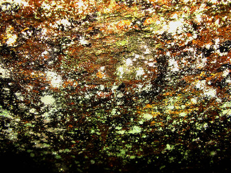 Moss structure on the stoneの写真素材