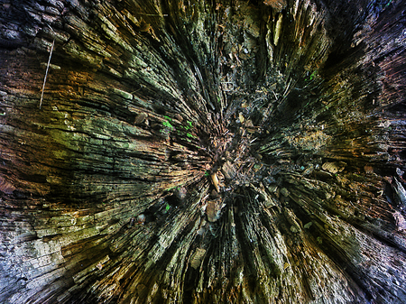 Circular wood texture in natural colorsの写真素材