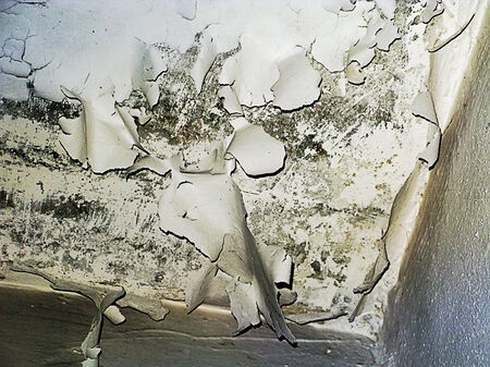 Background with cracked white wall and peeling plasterの写真素材