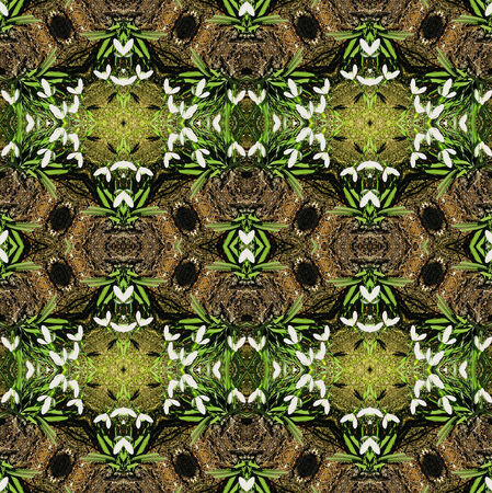 Seamless pattern with snowdropsの写真素材