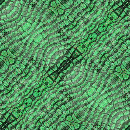 Abstract pattern resembling a crocodile skinの写真素材