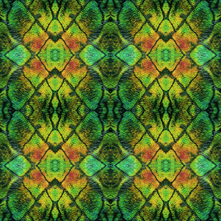 Abstract seamless pattern with crocodile skinの写真素材