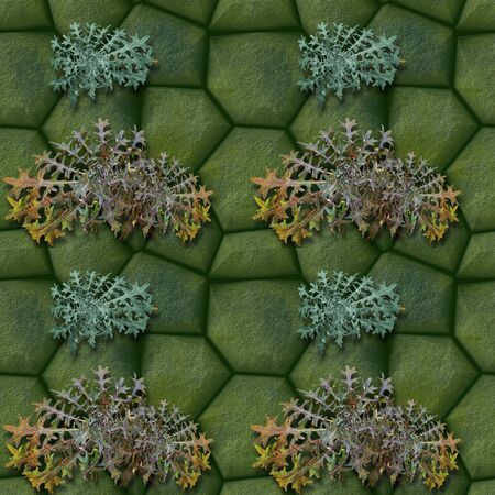 Seamless pattern of green stones and Thistlesの写真素材
