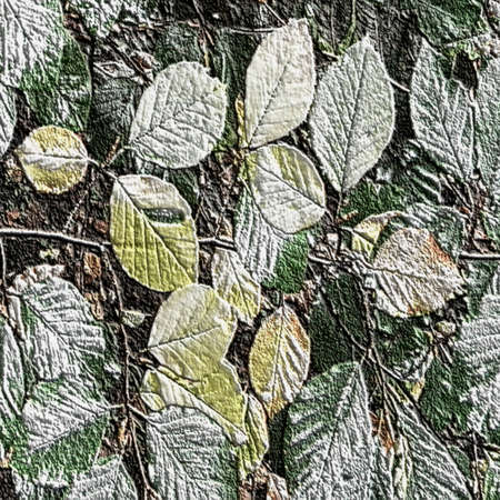 Natural relief embossed silver background of frozen leavesの写真素材