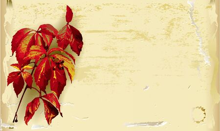 Vintage scratched paper background with autumn leavesのイラスト素材