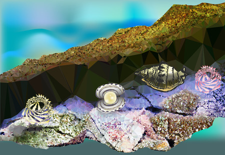 Water background with undersea cave corals and shells pearlのイラスト素材