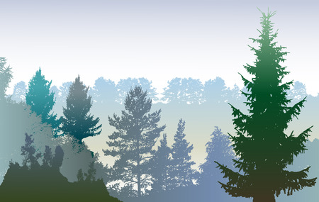 Panoramic winter forest landscape with silhouettes of plants and evergreen treesのイラスト素材