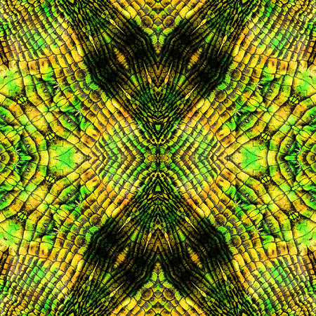 Abstract seamless reptile pattern with stripes and scales. Red, yellow, green and black snake patternの写真素材