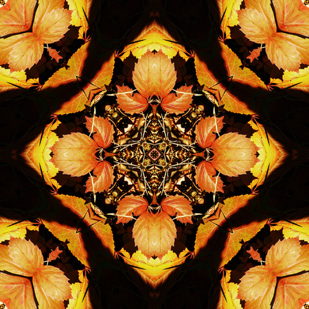 Natural seamless autumn pattern with red, yellow and orange stylized leaves. Kaleidoscopic pattern of autumn leaves on a black backgroundの写真素材