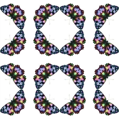 Natural seamless pattern with butterflies. Blue, pink, yellow and black Kaleidoscopic pattern with butterlies on a white backgroundの写真素材