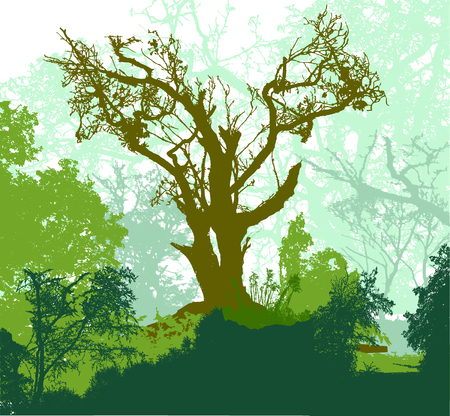 Panoramic forest landscape with big tree, green plants and branches in background. Green, brown and blue silhouettes of trees and plantsのイラスト素材