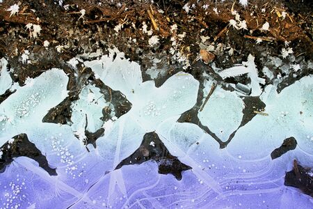 Natural background with frozen ground and ice crystals. Blue, white and brown winter background with frozen ice plants and textureの写真素材