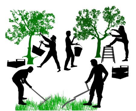 Family of Farmers harvested fruits and working in the garden. Silhouettes of man moving grass with scythe and women harvesting fruits.のイラスト素材