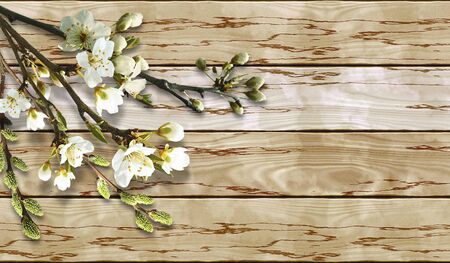 Wooden cracked grunge background with spring flowering Twigs. Buds, catkins, willow and white flowers on bare Twigsの写真素材