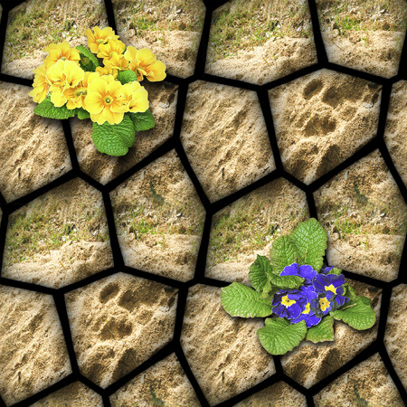 Natural Brown seamless pattern of stones with clay and blooming flowers. Blue and yellow Primroses on a background of polygonal stones and grass. 3d renderingの写真素材