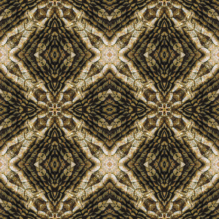 Reptile Abstract seamless pattern with brown, black and white Scalloped reptile skin. Brown, black, white and red stylized snake patternの写真素材
