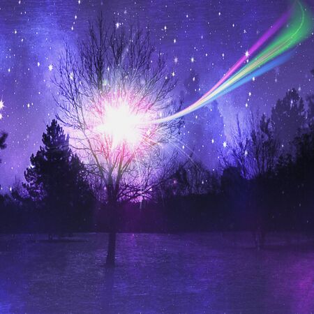 Dark Night landscape with silhouettes of trees and stars. Black, purple, green and pink landscape with stars and forestの写真素材