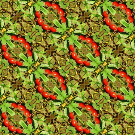 Natural seamless background with leaves and rose hips berriesの写真素材