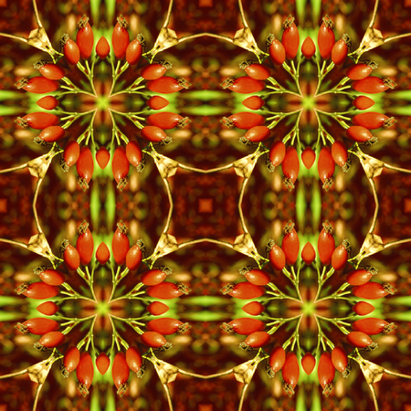 Natural seamless pattern with leaves and rosehip berries in the form of starsの写真素材