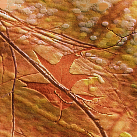 Autumn relief embossed natural background with leaf between twigs. Red, brown and orange natural background with autumn motif. 3d illustration,の写真素材