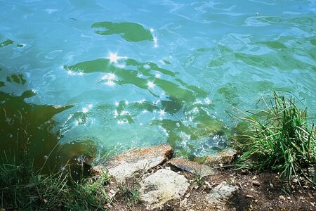 The lake shore with stones, grass and glittering water surface. Landscape with natural pond, waves and plantsの写真素材