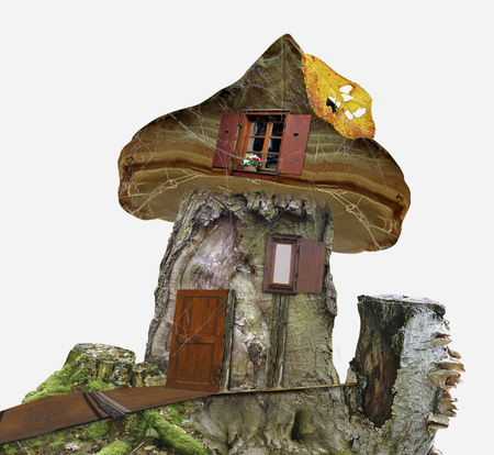 Fairy-tale house of stump with windows, spider web and leaf. Wooden house for dwarfs. 3d illustrationの写真素材