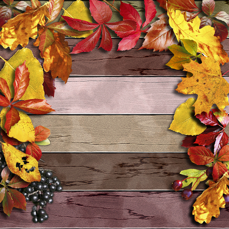 Vintage wooden board with autumn colorful leaves and berries. Brown, orange, red and yellow background with black and red berries and leaves. 3d illustrationの写真素材