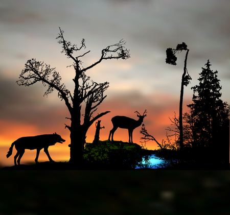 Dark night forest landscape with silhouettes of wild animal and trees.のイラスト素材