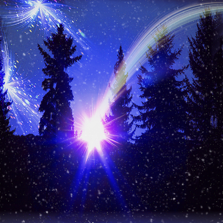 Dark night forest landscape with comet, stars and falling snow. Blue and black landscape with silhouttes of trees and glowing skyの写真素材