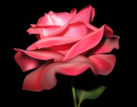 Flower red rose drawn on a black background. Made in a vector mesh - gradientのイラスト素材