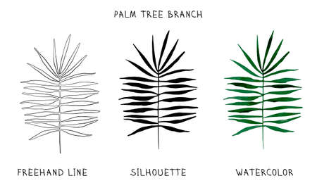Palm branch to create design layouts. Set of freehand line, silhouette and watercolor drawing.のイラスト素材