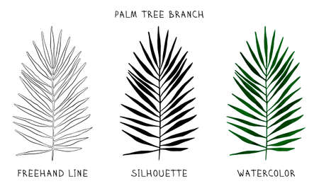 Palm branch to create design layouts. Set of freehand line, silhouette and watercolor drawing.のイラスト素材