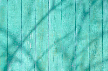 Backgrounds and texture concept. Soft mint pastel old vertical wooden fence painted in green rugged...
