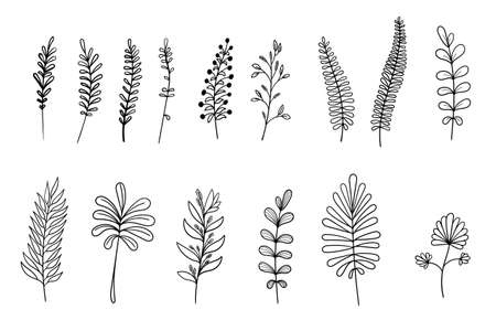 Vector hand drawn set of various silhouette branches with leaves in outline technique on the white background.のイラスト素材