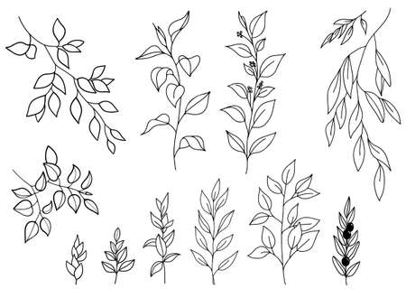 Vector hand drawn set of various silhouette branches with leaves in outline technique on the white background.のイラスト素材