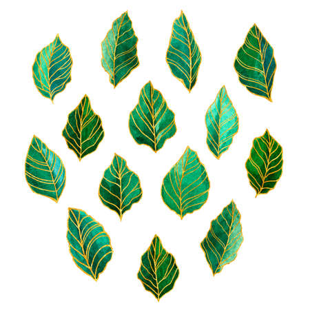 Set of green forest leaves. Gold streaks, freehand lines. Watercolor collection for design of invitations, posters, frames, fashion.の写真素材