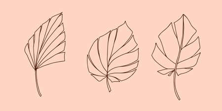 Set of exotic tropical leaves, hand-drawn in a doodle for elegant design of ornaments, patterns. Vector hand drawn set of various silhouette leaves in outline technique on the pink background.のイラスト素材