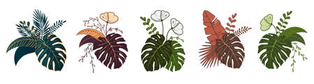 Set Floral composition of plants. Bouquet of tropical leaves and flowers. Botanical freehand line drawing on isolated background. Flat floral design for logo, labels, invitations and patterns.のイラスト素材