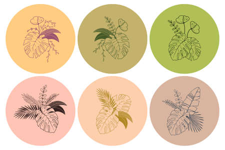 Set Floral composition of plants. Bouquet of tropical leaves and flowers. Botanical freehand line drawing on isolated background. Flat floral design for logo, labels, invitations and patterns.のイラスト素材