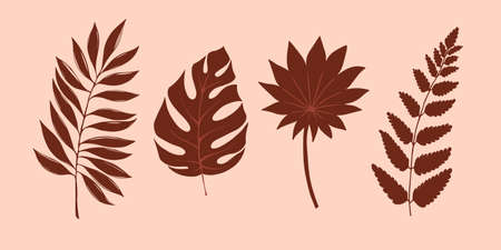 Set of exotic tropical leaves, hand-drawn in a doodle for elegant design of ornaments, patterns. Vector hand drawn set of various silhouette leavesのイラスト素材