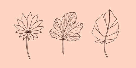 Set of exotic tropical leaves, hand-drawn in a doodle for elegant design of ornaments, patterns. Vector hand drawn set of various silhouette leaves in outline technique on the pink background.のイラスト素材