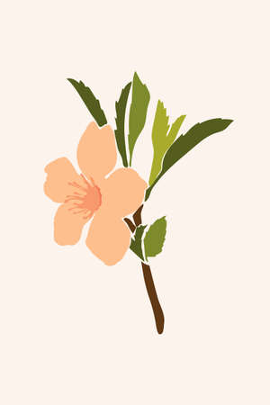 Abstract poppy flower drawn in a minimalist style. Flat geometric shapes in trending design for social media, paintings, fabric printingのイラスト素材