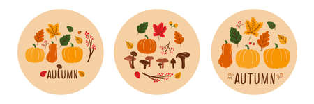 Autumn cards. Set of three color trendy vector illustrations. Hand-drawn various mushrooms, pumpkins and leaves. Flat design. Round stickers, logo, t-shirt designのイラスト素材