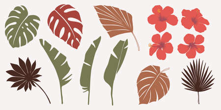 Vector hand drawn set of various silhouette branches with abstract tropical leaves. botanical element collection with Earth tone color. Design for natural and floral background pattern, bouquetのイラスト素材