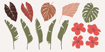 Vector hand drawn set of various silhouette branches with abstract tropical leaves. botanical element collection with Earth tone color. Design for natural and floral background pattern, bouquetのイラスト素材