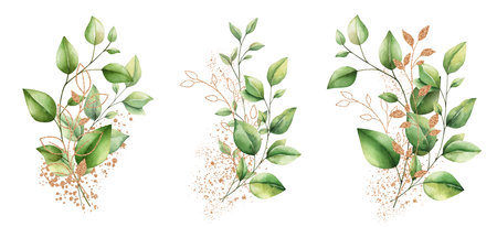Set of watercolor floral illustration isolated on white background. Bouquet of plants, eucalyptus, trees, branches, gold elements and paint splashes. Hand draw Trendy template for printの写真素材