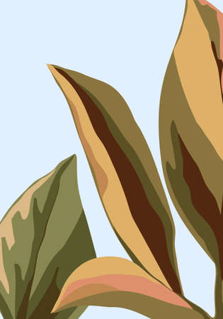 templates for poster, covers with abstract natural and botanical patterns. Multicolored large leaves green and pink.のイラスト素材