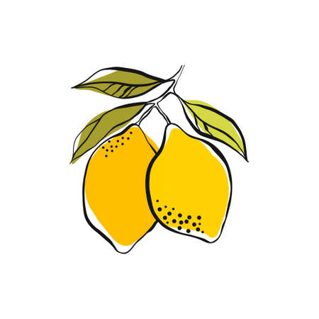 Yellow lemon on a branch with green leaves. Hand drawing with ink and stains. Simple doodle of a lemon isolated on a white background. Fruit summer element for designのイラスト素材